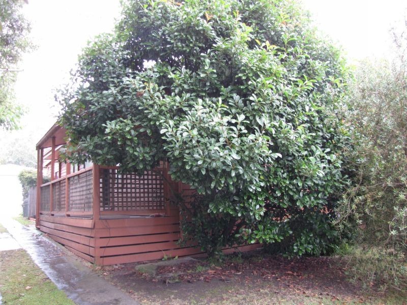1 Richard Street, Moe VIC 3825