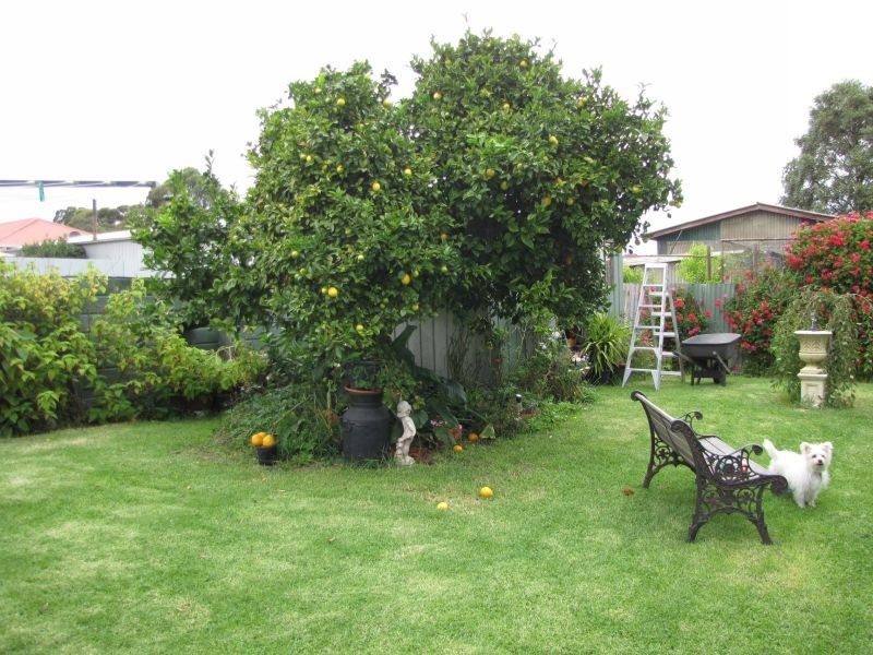23 York Street, Moe VIC 3825