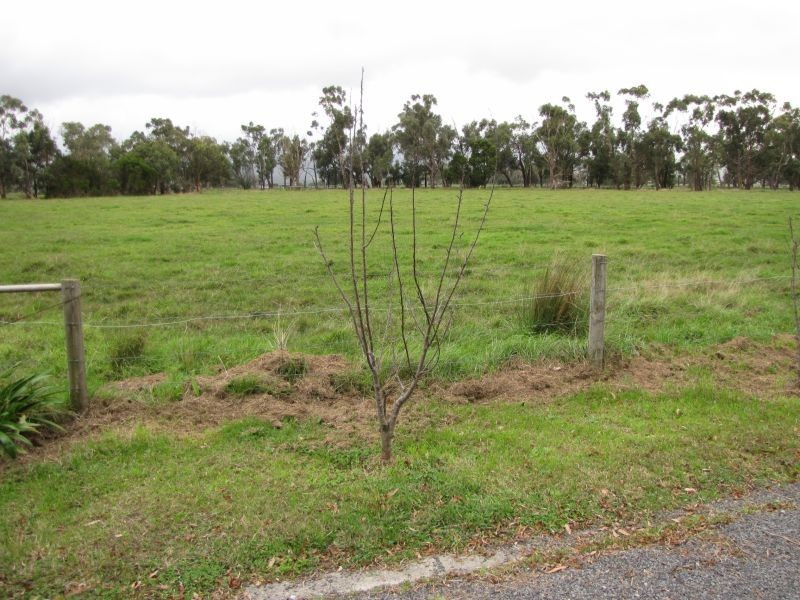 197 Millers Road, Westbury VIC 3825