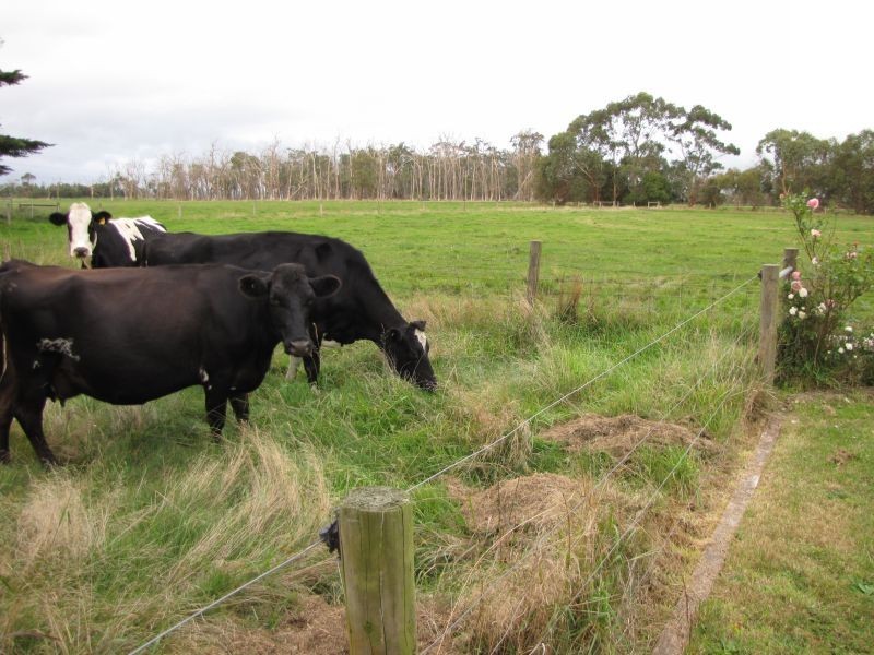 197 Millers Road, Westbury VIC 3825