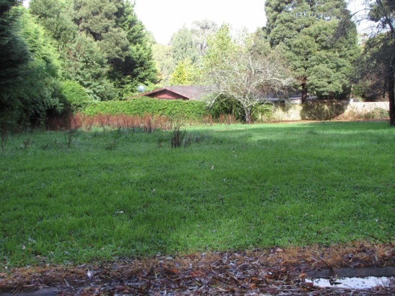 3 Stander Drive, Rawson VIC 3825