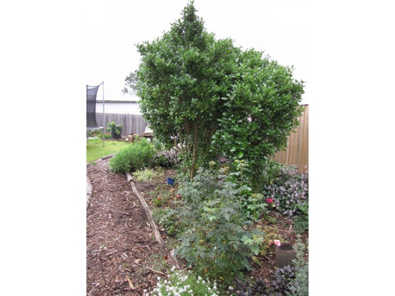 8 Kent Street, Moe VIC 3825