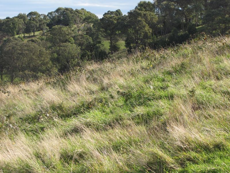 Lot 7 Archers Place, Yallourn North VIC 3825