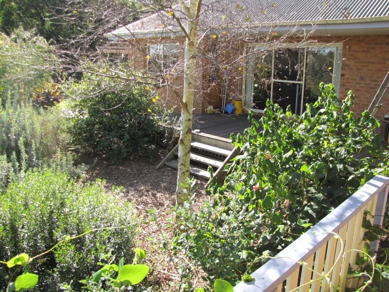 17 Adam View Court, Tanjil East VIC 3825