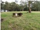 7 Frys Track, Newborough VIC 3825