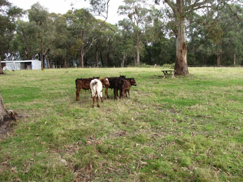 7 Frys Track, Newborough VIC 3825