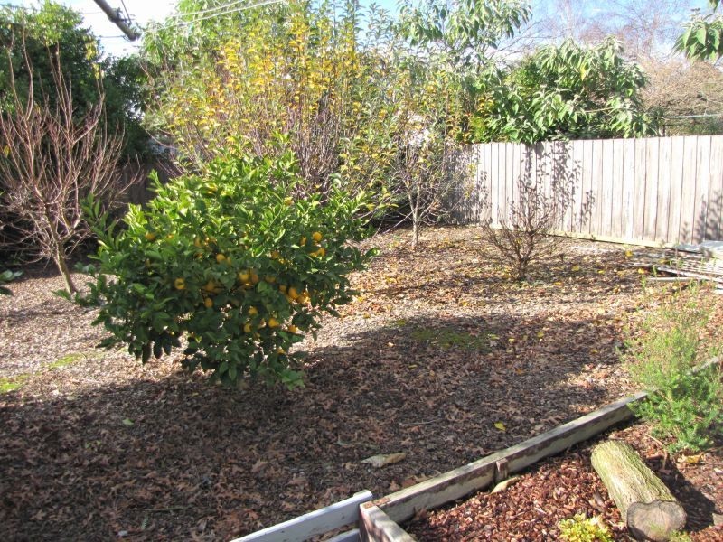 5 Kent Street, Moe VIC 3825