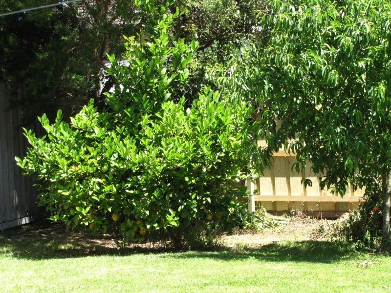 43 Scott Avenue, Moe VIC 3825