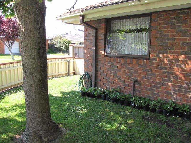 2/2 Hunter Street, Moe VIC 3825