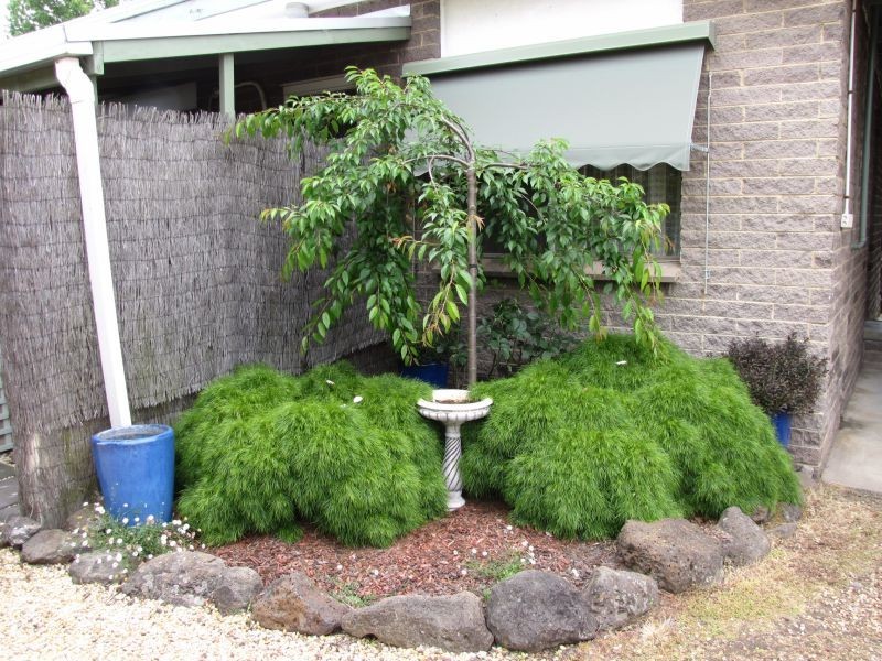 2/31 William Street, Newborough VIC 3825