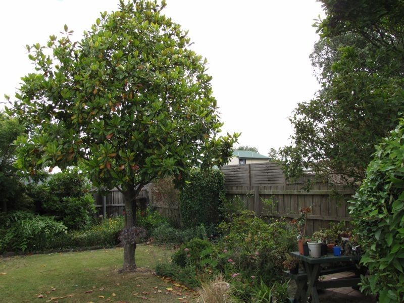 17 Stearman Street, Newborough VIC 3825