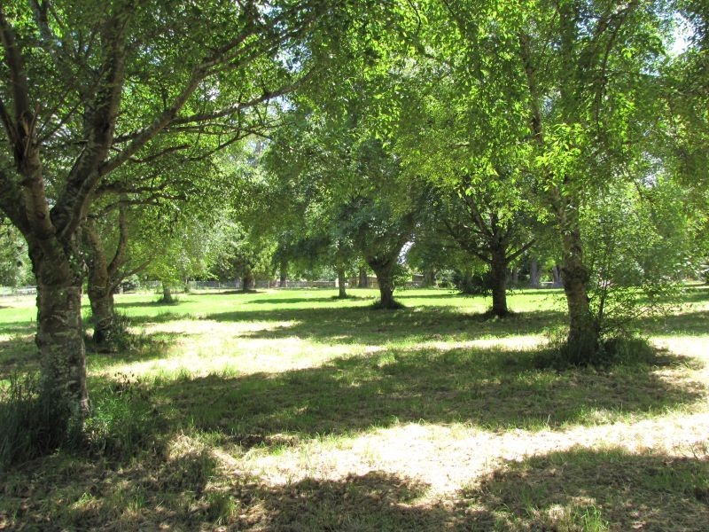 Lot 4 Knotts Siding Road, Rawson VIC 3825
