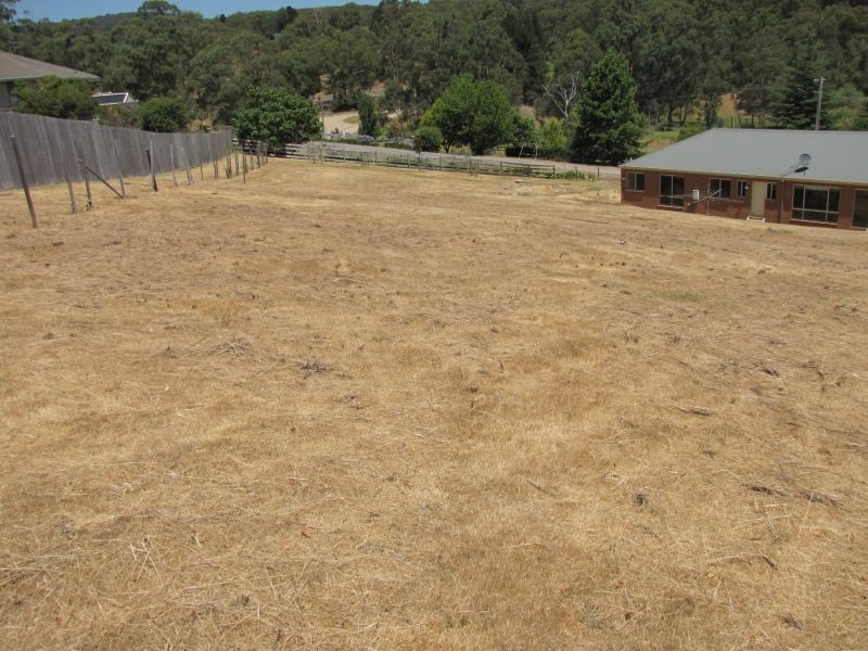 55 King Street, Moe VIC 3825