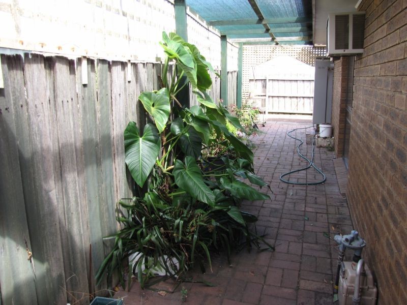 4/7 Westbury Street, Moe VIC 3825