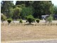 54 Whitelaw Court, Rawson VIC 3825