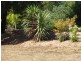 54 Whitelaw Court, Rawson VIC 3825