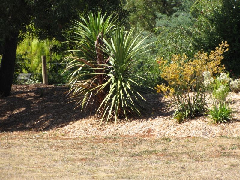 54 Whitelaw Court, Rawson VIC 3825