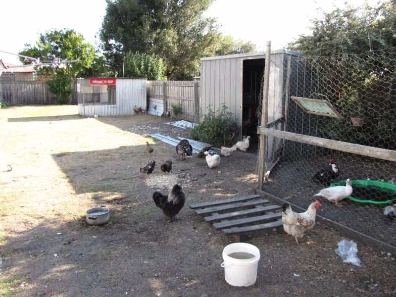 13 Victoria Street, Moe VIC 3825