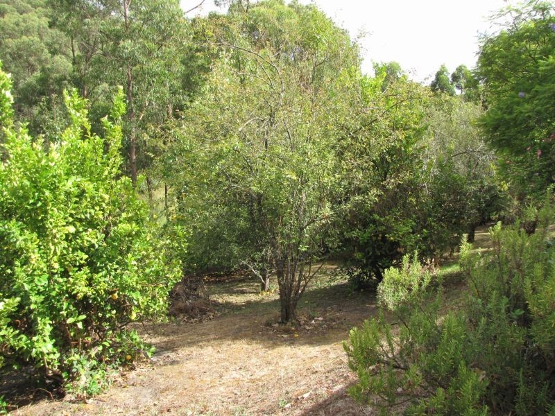 20 Elswyk Road, Moe South VIC 3825