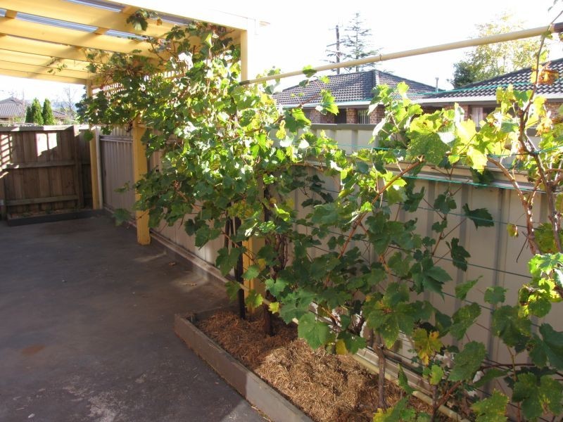 2/1 Hunter Street, Moe VIC 3825