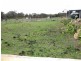 4 Borrmans Street, Moe VIC 3825