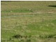 Lot 7 Archers Place, Yallourn North VIC 3825
