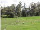 7 Tooronga Road, Willow Grove VIC 3825