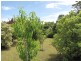 19 William Street, Newborough VIC 3825