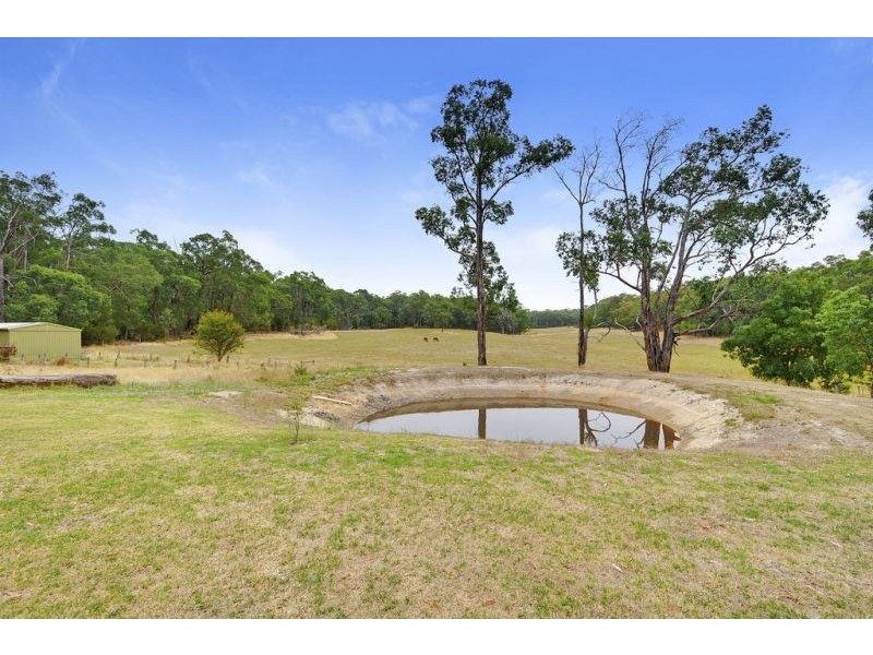 727 Moe Walhalla Road, Tanjil South VIC 3825