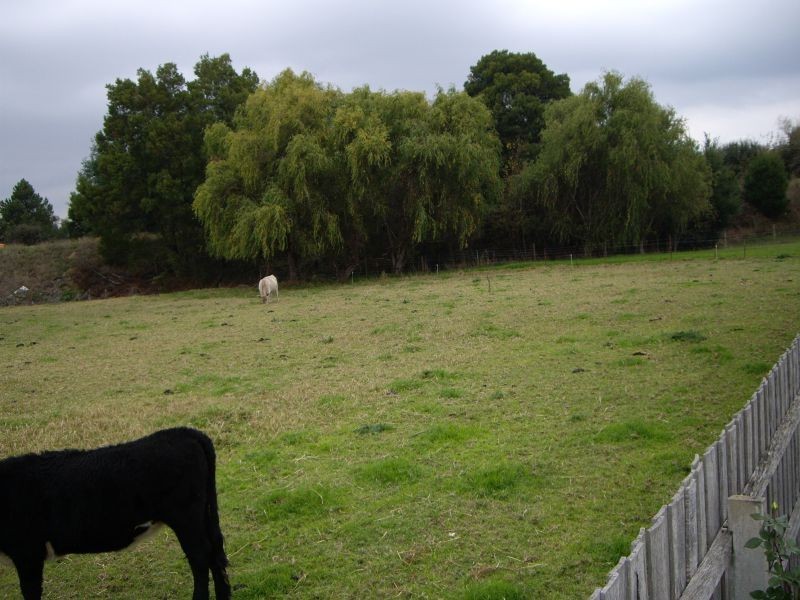 3 Albert Street, Moe VIC 3825