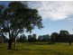 176 CECIL ST(R), South Melbourne VIC 3205