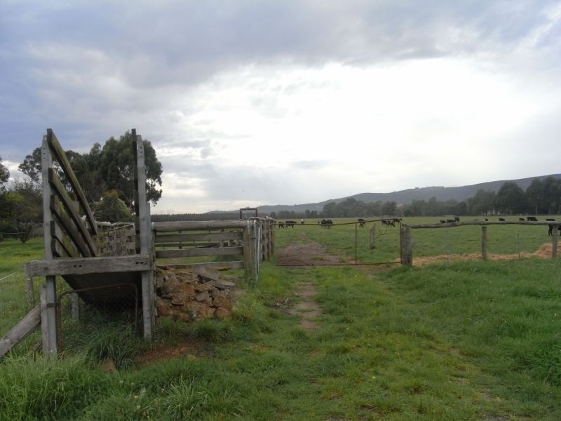 Seven Mile Road, Trafalgar VIC 3824
