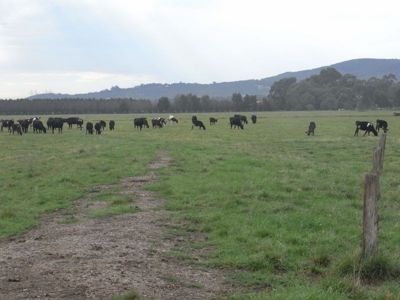 Seven Mile Road, Trafalgar VIC 3824