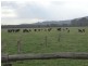 Seven Mile Road, Trafalgar VIC 3824
