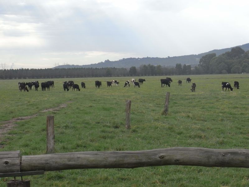 Seven Mile Road, Trafalgar VIC 3824