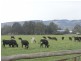 Seven Mile Road, Trafalgar VIC 3824