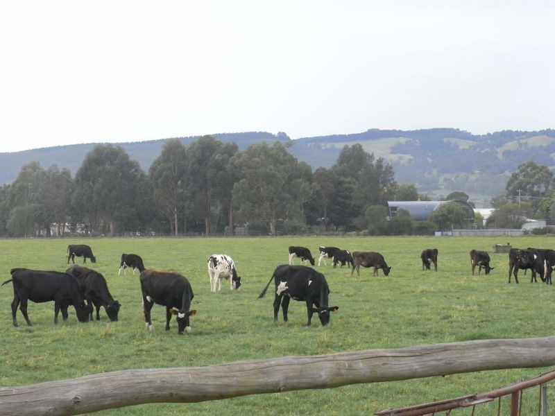 Seven Mile Road, Trafalgar VIC 3824