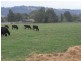 Seven Mile Road, Trafalgar VIC 3824