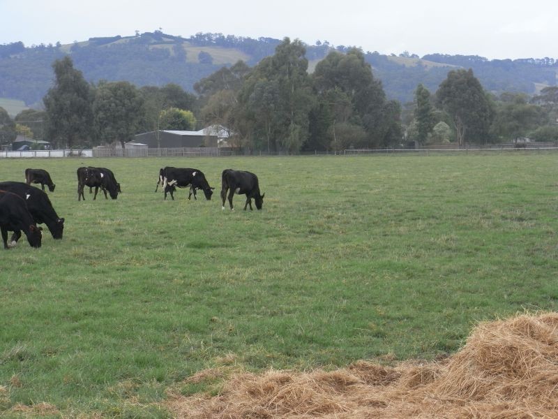 Seven Mile Road, Trafalgar VIC 3824
