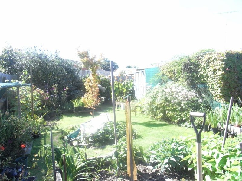 4 Kitchener Street, Trafalgar VIC 3824