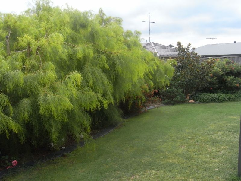 11 Vincent Blvd, Trafalgar VIC 3824