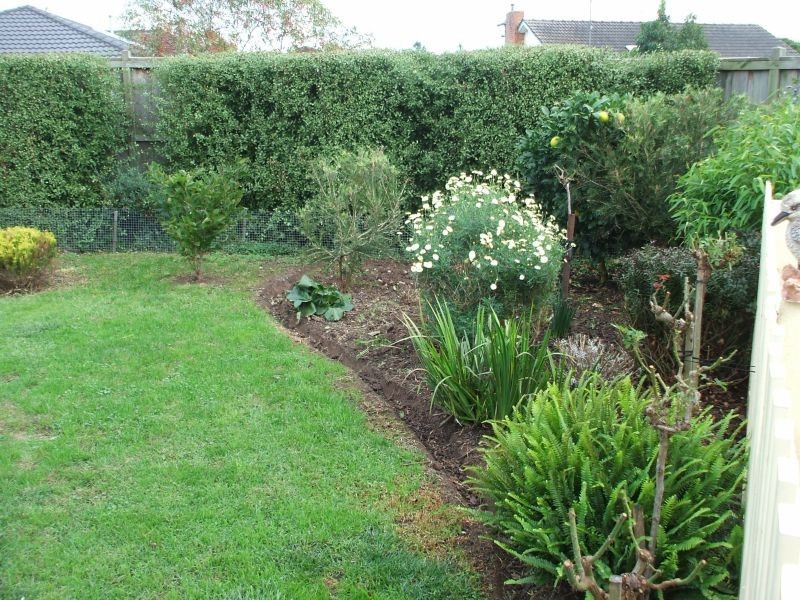 11 Rotheram Court, Trafalgar VIC 3824