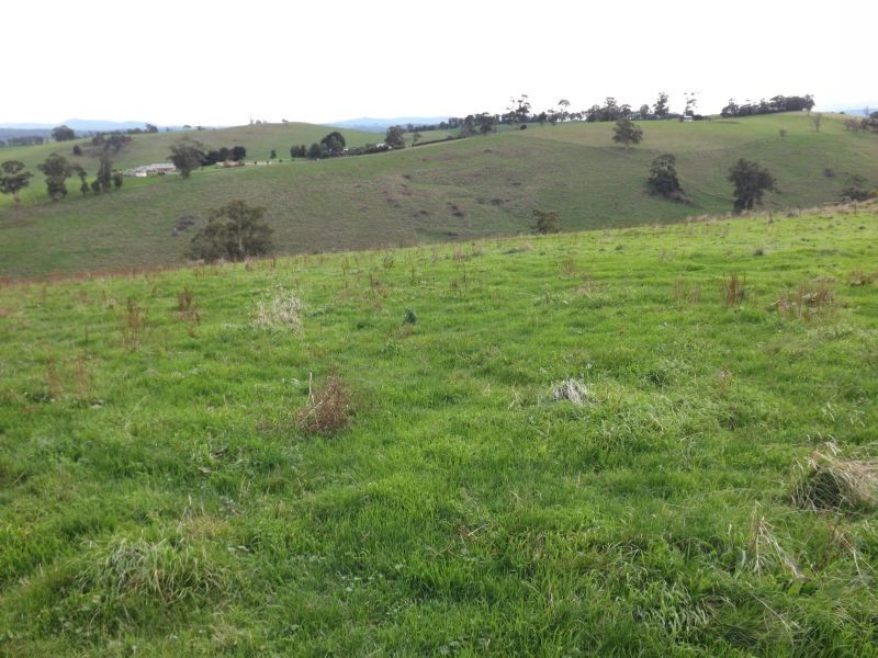 100 Paynters Road, Hill End VIC 3825