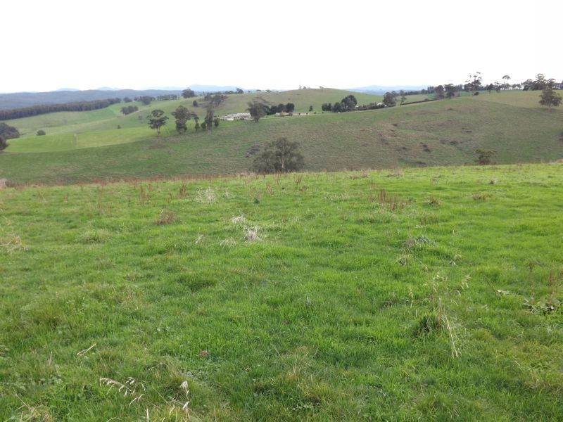 100 Paynters Road, Hill End VIC 3825