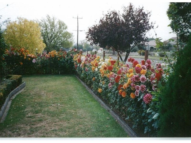 25 Anzac Road, Trafalgar VIC 3824