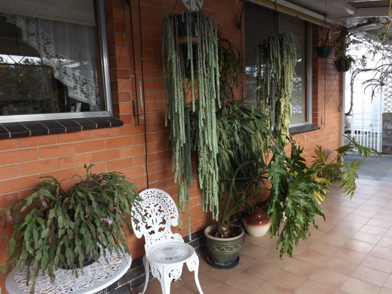 25 Anzac Road, Trafalgar VIC 3824
