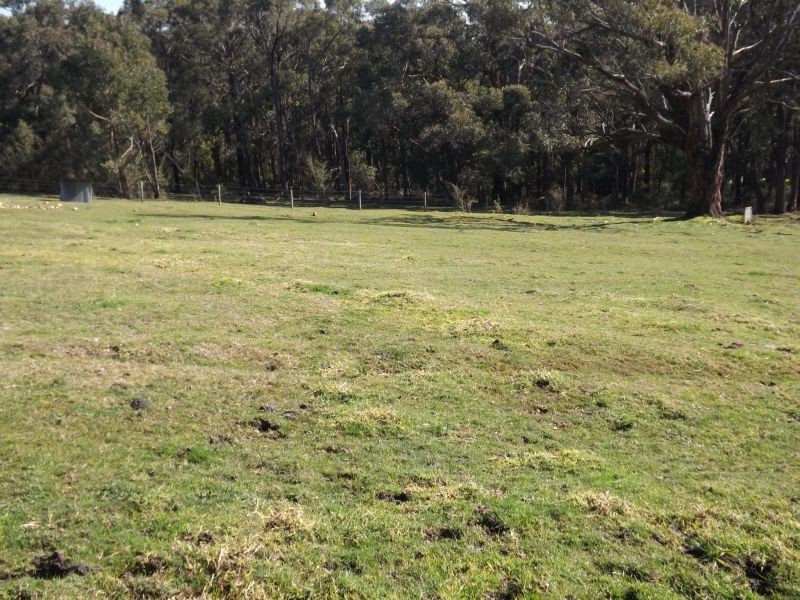 88 Melaleuca Drive, Trafalgar East VIC 3824