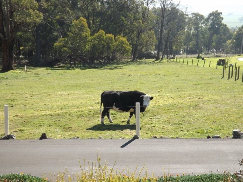 88 Melaleuca Drive, Trafalgar East VIC 3824