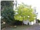 1016 Morwell  Thorpdale Road, Thorpdale VIC 3835