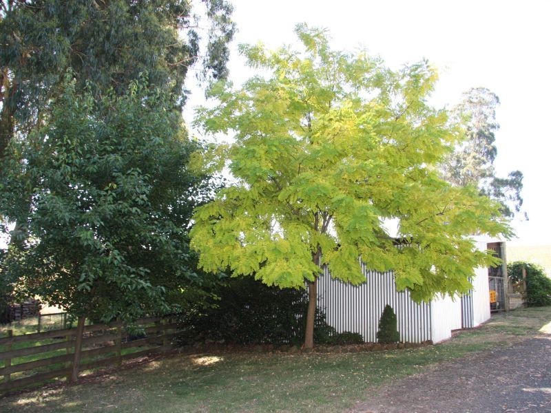 1016 Morwell  Thorpdale Road, Thorpdale VIC 3835